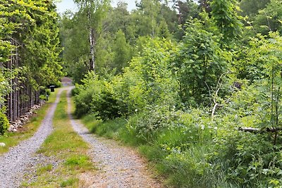 4 Personen Ferienhaus in Åsljunga