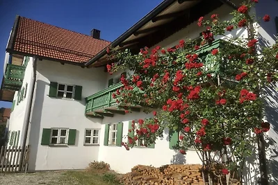 Vue sur le jardin Gerberhof