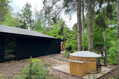 Luxuriöses Ferienhaus in Rheezerveen mit...