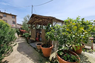 Wohnung in Orbicciano mit Pool