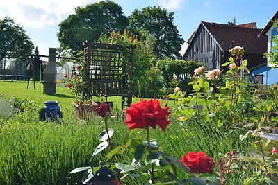 Ferienwohnung in den Hüttenroder Bergen