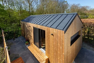 Winziges Haus am Waldrand in Zoutelande