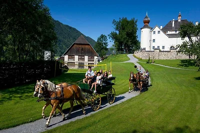 Schönes Chalet mit Balkonen