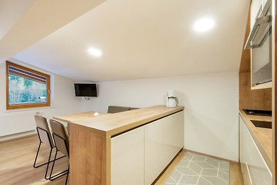 Contemporary Apartment in Salzburg with Sauna