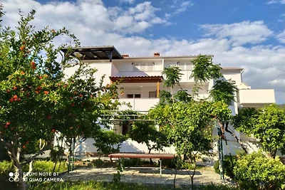 Two Bedroom Apartment With Terrace (A1)