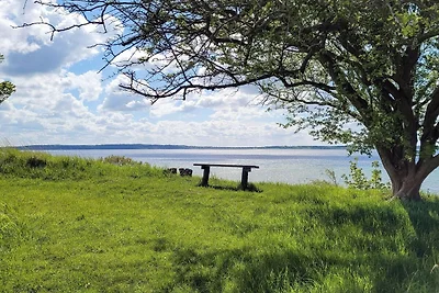 6 Personen Ferienhaus in Ølsted-By Traum
