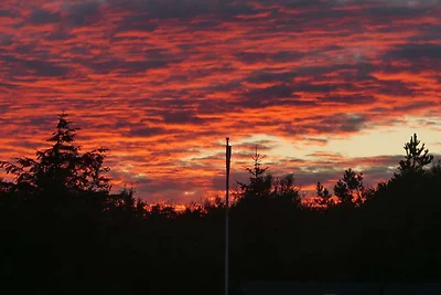 Ruhiges Refugium in der Natur -- By Traum...