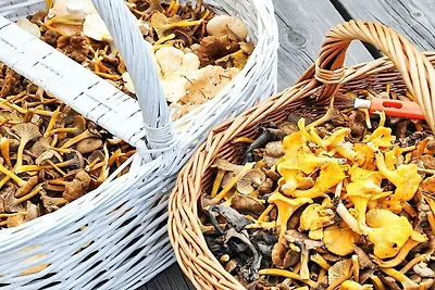 6 Personen Ferienhaus in KODE