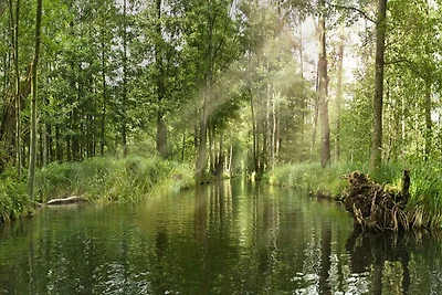 Wohnung in Lübben in der Nähe des Wassers