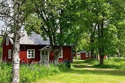 6 Personen Ferienhaus in Vislanda-By Traum