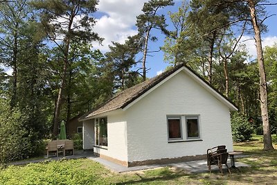 Sorgfältig eingerichtetes Haus mit Mikrowelle...