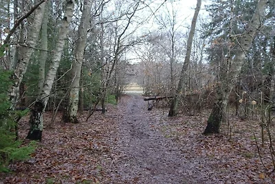 10 Personen Ferienhaus in Græsted-By Traum
