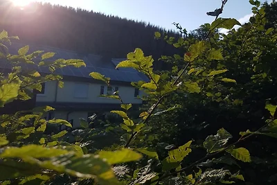 2 in de Weidenhäusermolen