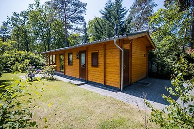 Luxe lodge voorzien van sauna en stoomcabine