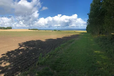 4 Personen Ferienhaus in Jægerspris-By Traum