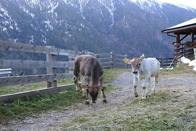 Juval Innerunterstellhof