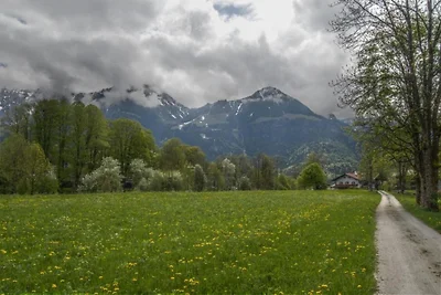 Ferienwohnung mit Balkon in Schönau am...