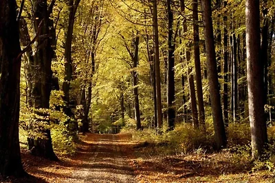 4 Personen Ferienhaus in Hampen