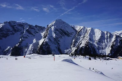 Ferienhaus Erholungsurlaub Ramsau im Zillertal