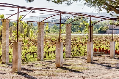 Cottage a Oppède tra i vigneti