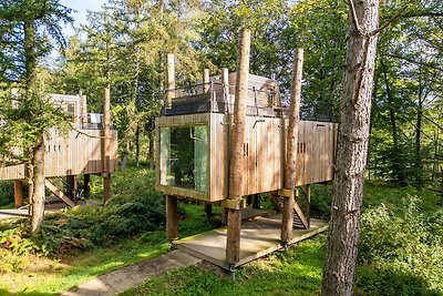 Vakantiehuis Ontspannende vakantie 