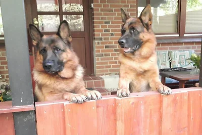 Von Hagen family