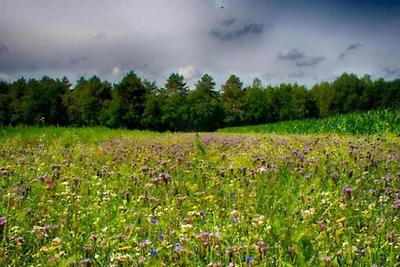 Umgebung (Sommer) (1-5 km) Umgebung (Sommer) (1-5 km)