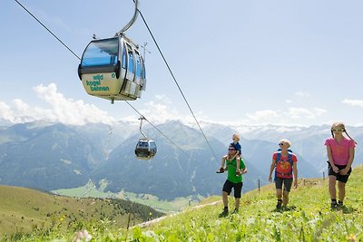 Wohnung Johann in Wald im Pinzgau mit Balkon