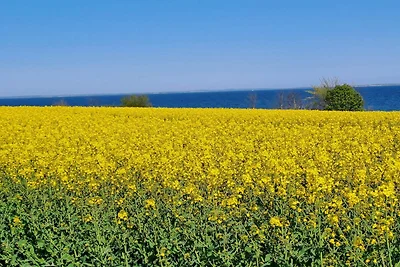 5 stelle case ad Sydals