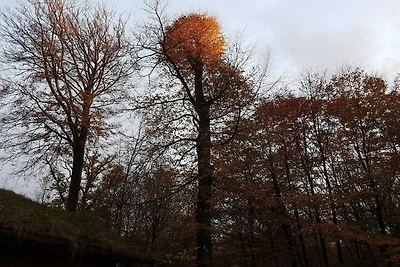 4 Personen Ferienhaus in Børkop-By Traum