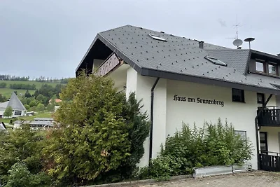 House on Sonnenberg