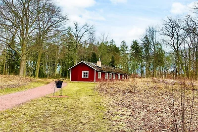 6 Personen vakantie huis in ROCKNEBY