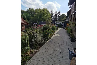Vakantieappartement met 1 slaapkamer