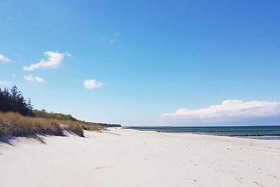 Windflüchter Komfortable Ferienresidenz