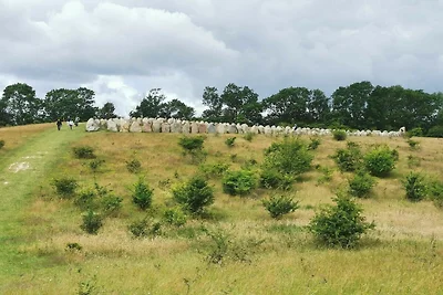 9 persone case ad Skibby