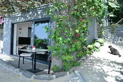 Quinta Golfinho - Villa Rosa