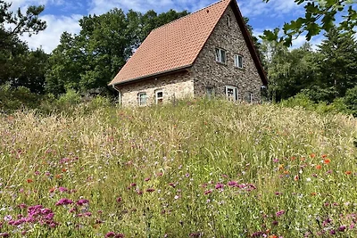 Felsenbirne im Heidezauber