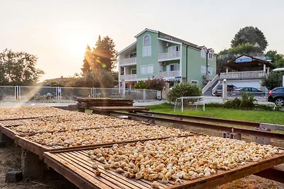 Six Bedroom Villa With Heated Pool