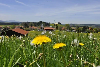 Ferienwohnung mit 1 Schlafzimmer