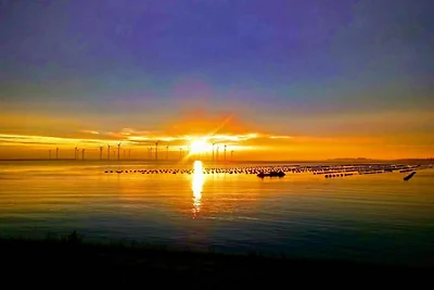 Luxuriöser Glamping-Kurzurlaub