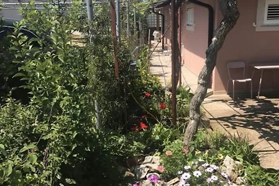 Apartmani Stefanija - Studio With Garden View