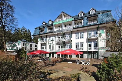 Apartment in Tanne mit Balkon
