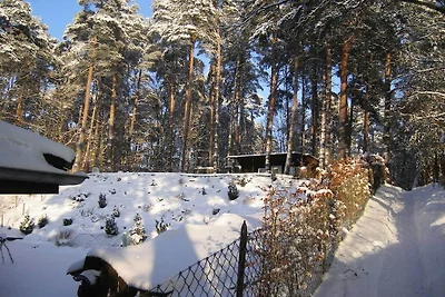 Vakantiehuis Molchow