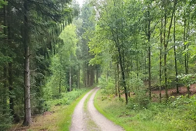 6 persone case ad Løgstør-By Traum