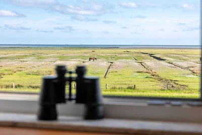 Casa vacanze a Juist con Wi-Fi e cinema