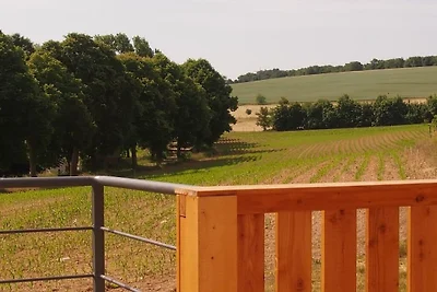 Vakantieappartement in Pilliger Heck met wifi