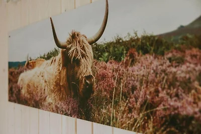 Charmantes Tiny House mit Terrasse.