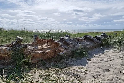 Küstenoase in Blavand