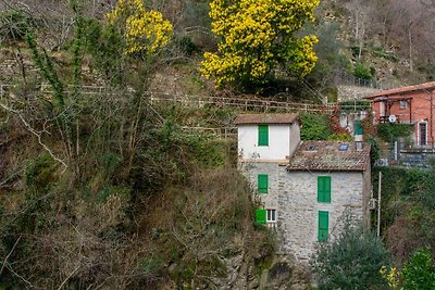 Charakteristische Mühle in Rapallo mit Garten
