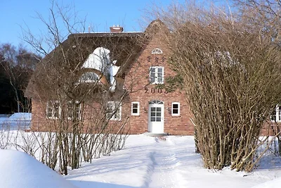 "Odde" im Haus Hilligenlei